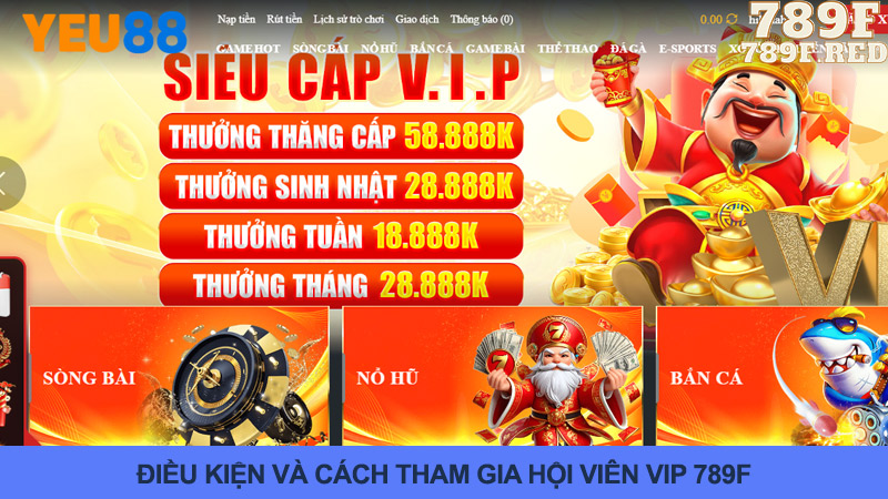 Cách tham gia và nhận quyền lợi VIP