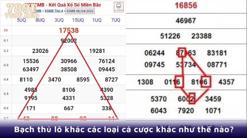 Bạch thủ lô và các loại hình chơi khác