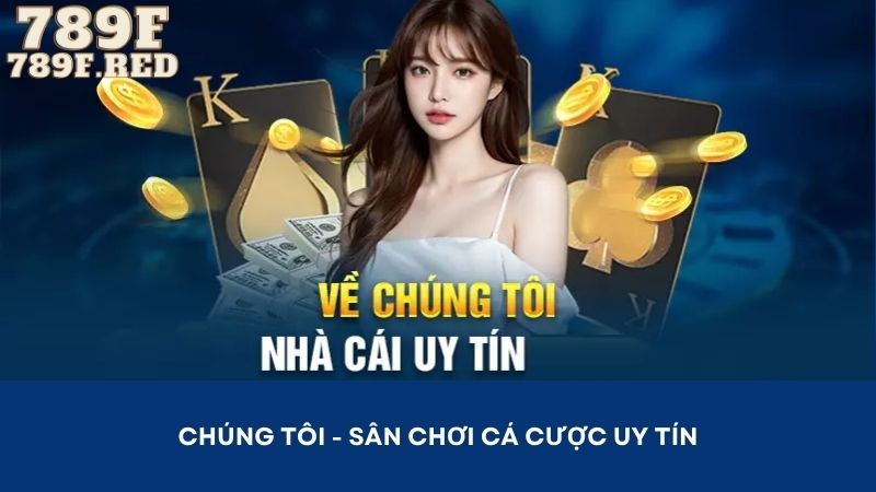 Điểm qua chi tiết các thông tin về chúng tôi