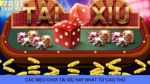 Bật Mí Những Mẹo Chơi Tài Xỉu Giúp Cao Thủ Thắng Liên Tục