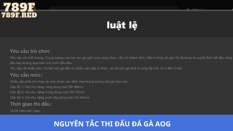 Luật lệ khi tham gia chơi đá gà