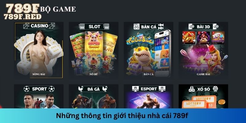 Nhà cái là nền tảng giải trí ấn tượng được nhiều cược thủ tin tưởng lựa chọn