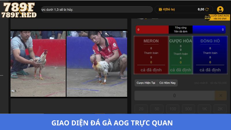 Đá gà AOG có giao diện đơn giản và dễ thao tác