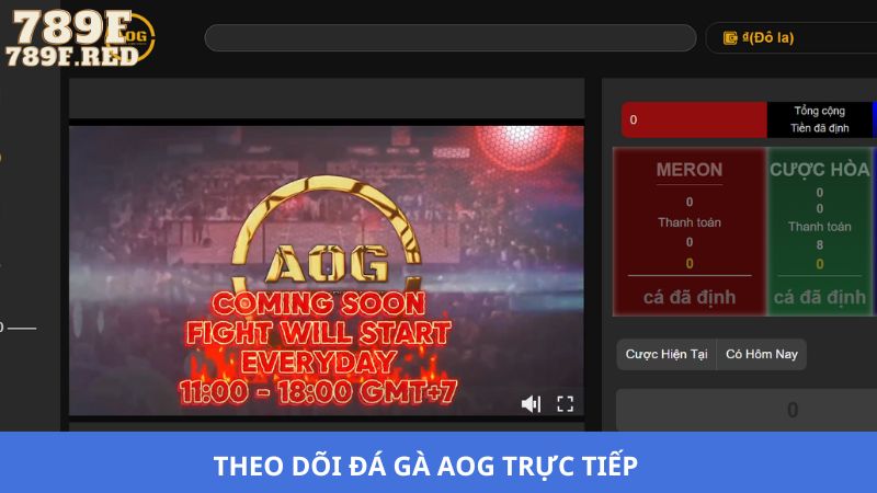 Phát sóng trận đấu đá gà trực tiếp
