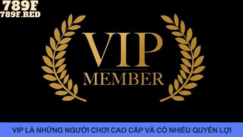 Thông tin cơ bản về ưu đãi VIP