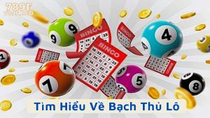Tìm Hiểu Về Bạch Thủ Lô Trong Lô Đề Là Gì?