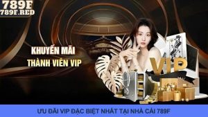Các Ưu Đãi VIP Cực Kỳ Hot Và Giá Trị Chỉ Có Tại Nhà Cái 789F