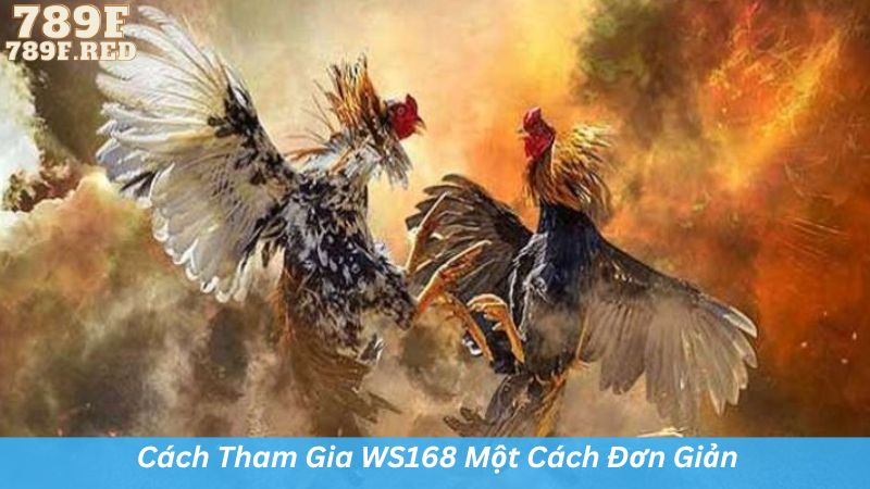 Cách tham gia ws168 một cách đơn giản