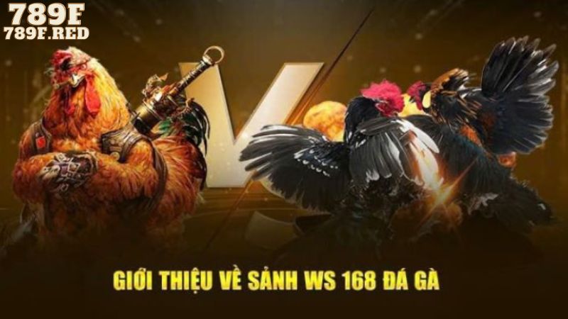 Giới thiệu về sảnh ws168
